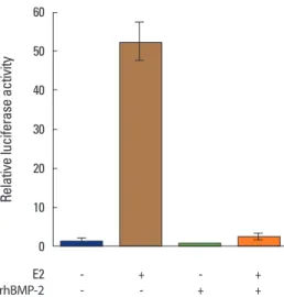 Fig. 4. Bone morphogenetic protein-2 suppresses estradiol (E2)-induced  estrogen responsive element (ERE)-mediated reporter activation in  MC3T3-E1 cells