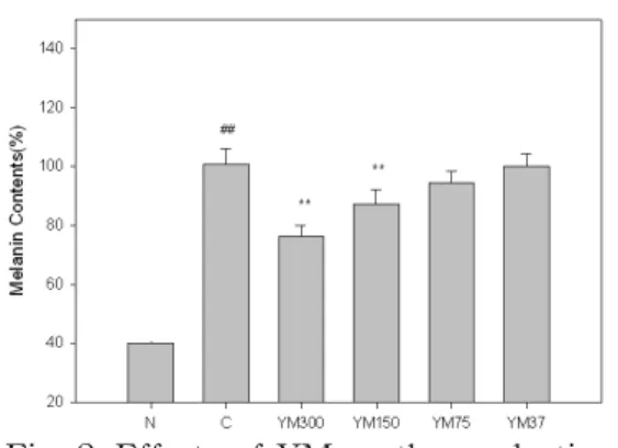Fig. 3. Effects of YM on mushroom tyrosinase activity in vitro .