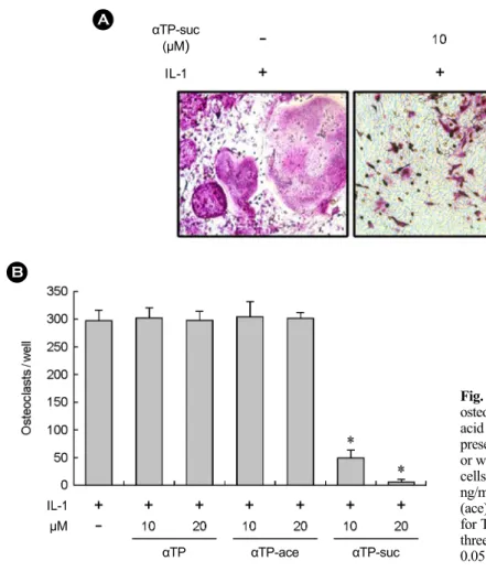 Fig. 1. Effects of alpha-tocopheryl succinate (TP-suc) on  osteoclast differentiation in coculture