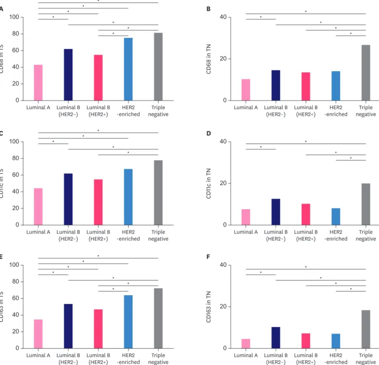 Figure 2. Mean of the macrophages (CD68+, CD11c+, or CD163+) according to each molecular subtype