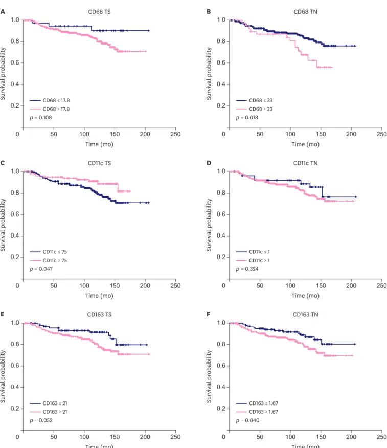 Figure 3. The OS curves according to the infiltration density of CD68+ macrophages in TS (A) and TN (B), CD11+ macrophages in TS (C) and TN (D), and CD163+ 