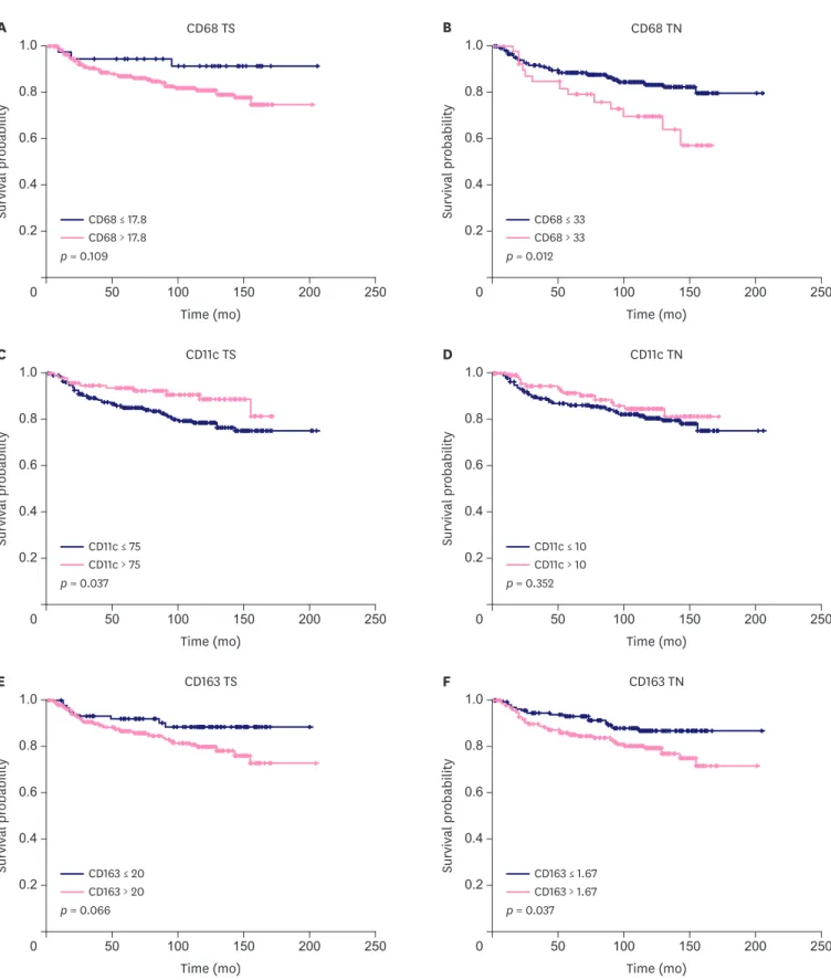 Figure 4. Disease free curves based on the infiltration density of CD68+ macrophages in TS (A) and TN (B), CD11+ macrophages in TS (C) and TN (D), and CD163+ 