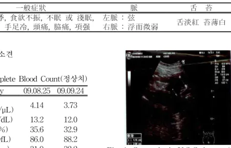 Fig. 1. Gynecologic U.S.G. image (08.20)