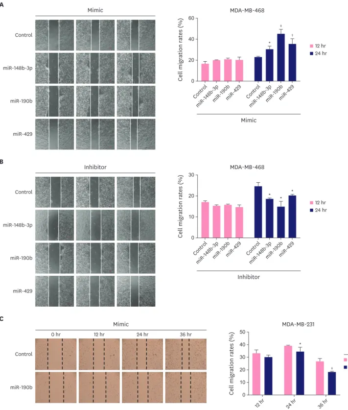 Figure 5. Effect of miR-148b-3p, miR-190b and miR-429 on breast cancer cell migration
