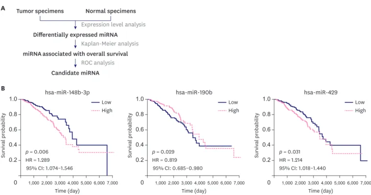 Figure 1. Identification of the 3 miRNAs. (A) Overall workflow of the study. (B) Kaplan-Meier survival curves showing different overall survival in groups of patients  with low and high miRNAs expression
