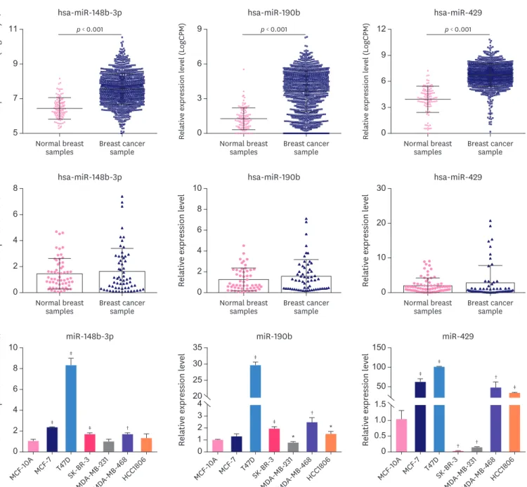 Figure 2. The expression of miR-148b-3p, miR-190b, and miR-429 was enhanced in breast cancer tissues and cell lines
