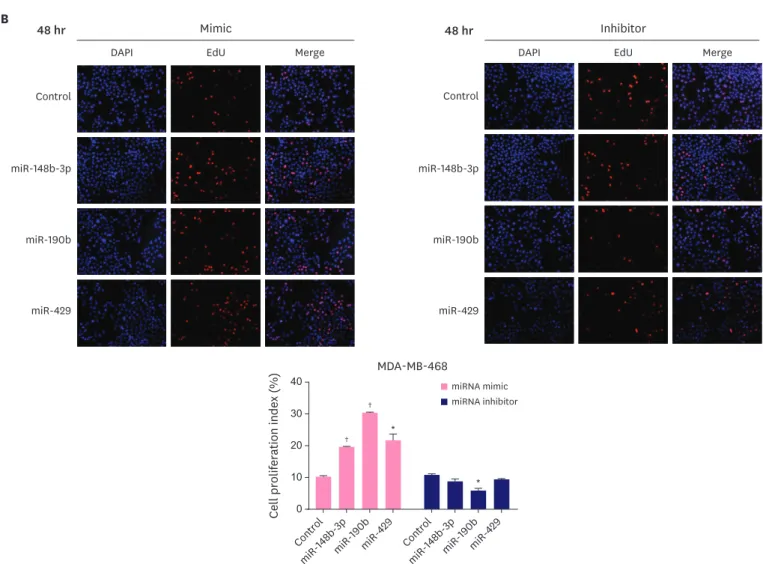 Figure 3. (Continued) Effect of miR-148b-3p, miR-190b and miR-429 on breast cancer cell proliferation