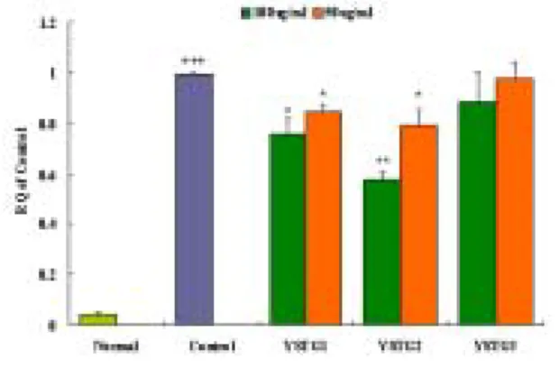 Fig.  3.  Inhibitory  effects  of  YSTG1,  YSTG2  and  YSTG3  extract  on  MCP-1  mRNA  expression  in  THP-1  cells  treated  with  LPS.