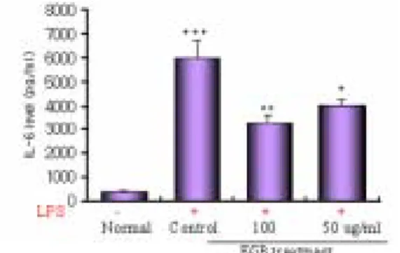 Fig.  7.  Effect  of  EGB  extract  on  the  levels  of  IL-6  in  the  RAW  264.7  cell