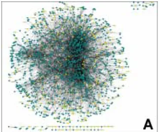 Fig.  4C.  Protein  interactions  between  up  -regulated  genes.