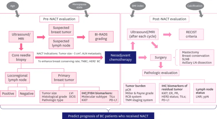 Figure 1. The general clinical evaluating process of BC patients before and after NACT