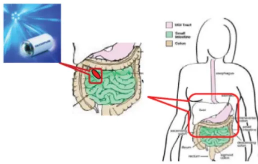 Fig. 1. the framework of WCE [5]