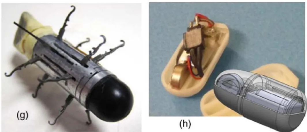 Fig. 4. WCE with SMA legs and WCE with vibratory actuator