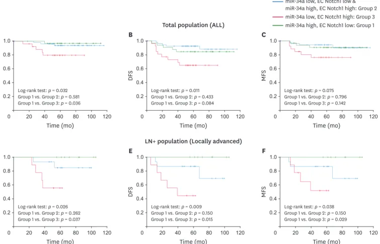 Figure 8. Kaplan–Meier analysis of survival of patients with TNBC stratified according to the expression of miR-34a and EC Notch1