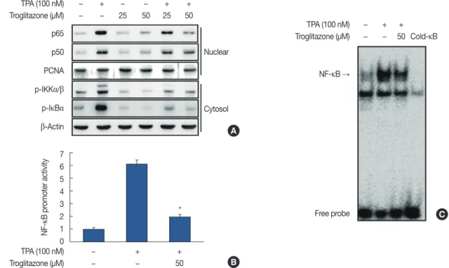 Figure 4. Troglitazone inhibits 12-O-tetradecanoylphorbol-13-acetate (TPA)-induced nuclear factor κB (NF-κB) activation in MCF-7 cells