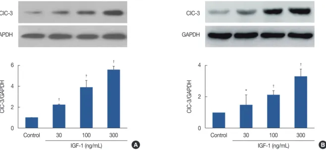 Figure 1B and 1C is a representative immunoblot analysis  demonstrating ClC-3 expression in two of the six patients   enrolled in this study
