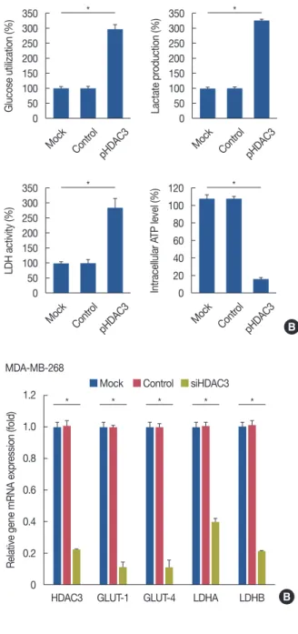 Figure 4. The promotion of cell proliferation and aeroobic glycolysis   after histone deacetylases-3 (HDAC3) overexpression