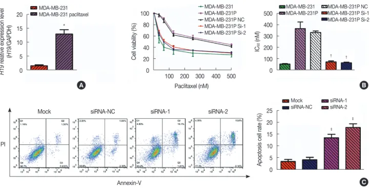Figure 2. Drug-resistant breast cancer cell lines (MDA-MB-231 paclitaxel-resistant cell line [MDA-MB-231p]) express high levels of H19, and knock- knock-down of H19 expression (as measured using quantitative real-time polymerase chain reaction [qRT-PCR]) r