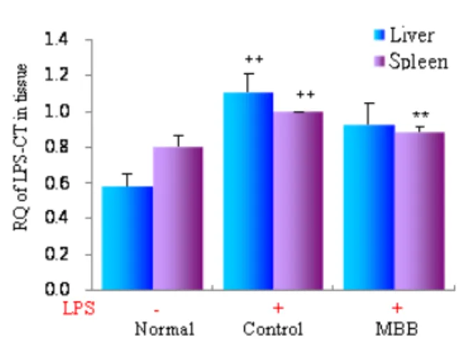 Fig.  14.  Inhibitory  effects  of  MBB  extract  on  TNF-α mRNA  expression  level  in  spleen  and  liver  following  LPS  co-treatment
