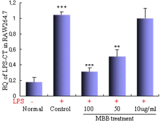Fig.  3.  Inhibitory  effects  of  MBB  extract  on  TNF-α  mRNA  expression  in  RAW  264.7  cell  line