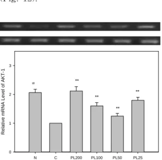 Fig.  12.  Effects  of  PL  on  the  expression  of  MITF  in  B16F10  cells. Normal(N):  Vehicle  Control(C):  α-MSH  (10  μM) PL200:  α-MSH  (10  μM)  +  200  ㎍/㎖  of  PL PL100:  α-MSH  (10  μM)  +  100  ㎍/㎖  of  PL PL50:  α-MSH  (10  μM)  +  50  ㎍/㎖  of