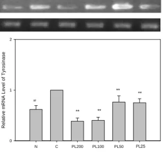 Fig.  5.  Effects  of  PL  on  the  expression  of  tyrosinase(TRS)  in  B16F10  cells