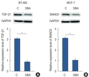 Figure 5. Effects of hypoxia-inducible factor inhibitor dimethyl-bisphenol  A (DBA) on transforming growth factor β1 (TGF-β1) (A) and SMAD family  member 3 (SMAD3) (B) expression.