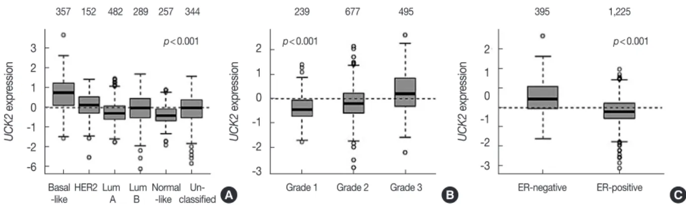 Figure 2. Association of UCK2 gene expression with tumor characteristics. UCK2 gene expression was associated with molecular subtypes (A), tu- tu-mor grade (B) and estrogen receptor (ER) status (C) in patients with breast cancer using the GOBO (Gene Expres