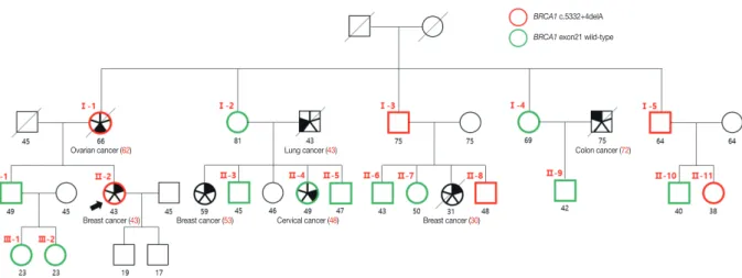 Figure 2. Mutation analysis of exon 20 in BRCA1 gene. (A) Sequence analysis of the mutant BRCA1 gene shows a deletion in c.5332+4delA (ge- (ge-nomic DNA) and exon 20 skipping (RNA)