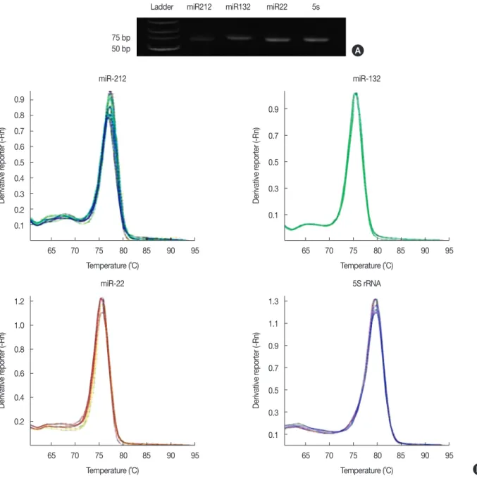 Figure 1. Uniqueness and authenticity of the real-time polymerase chain reaction (RT-PCR) products