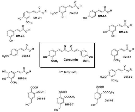 Figure 1. Chemical structure of different alkyl cinnamates with their respective compound codes