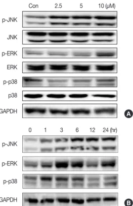 Figure 4. Effect of isocryptotanshinone (ICTS) on mitochondrial mem- mem-brane potential (MMP)