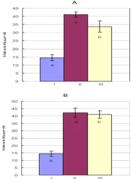 Fig.  9.  Transplanted  Endometrium  Tissue  of  Normal  Saline  Rectal  Administration  Group