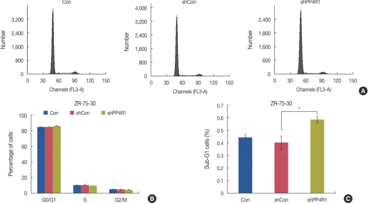 Figure 3. Cell cycle arrest of ZR-75-30 cells induced by protein phosphatase 4 regulatory subunit 1 (PP4R1) silencing