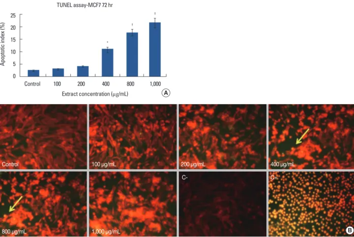 Figure 4. (A) MCF7 apoptotic index (%) after 72-hour with different amounts of crab shell extract