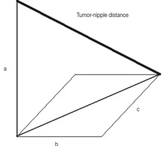 Figure 3. Diagram of calculation method of tumor-nipple distance. 