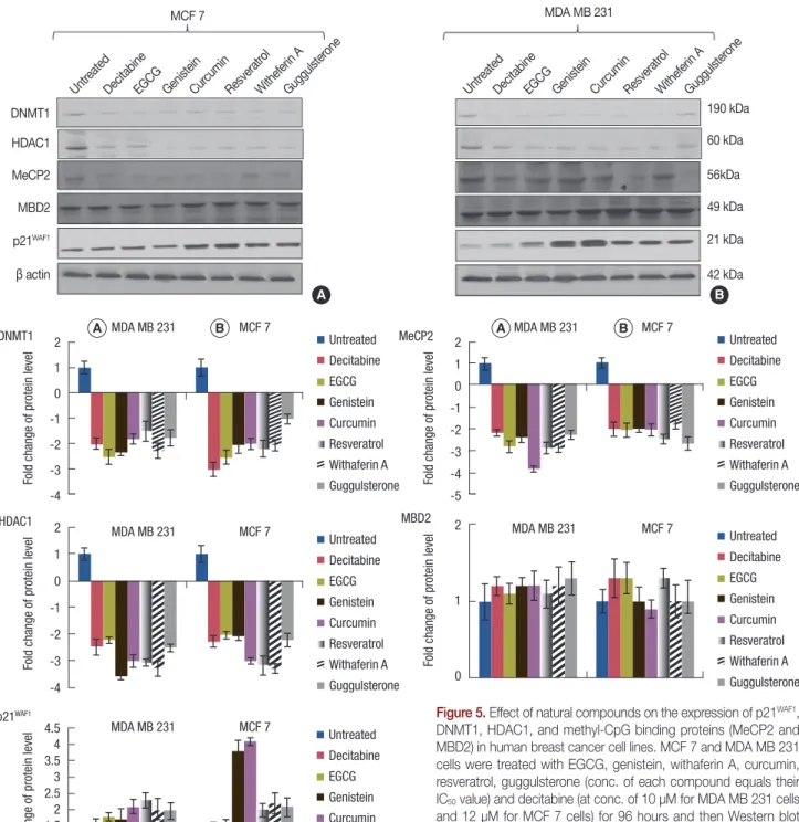 Figure 5. Effect of natural compounds on the expression of p21 WAF1 ,  DNMT1, HDAC1, and methyl-CpG binding proteins (MeCP2 and  MBD2) in human breast cancer cell lines