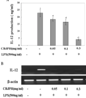 Fig.  5.  (A)  The  inhibitory  effect  of  CBJPH  on  LPS-induced  IL-12  production  in  peritoneal  macrophages