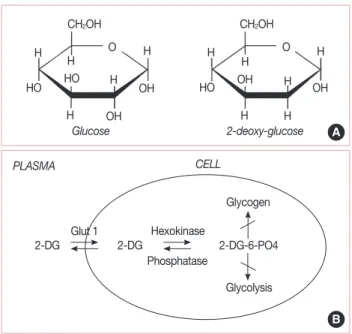 Figure 2. (A) Structural comparison of glucose and 2-deoxy-D-glucose  (2-DG). 2-DG and glucose differ at the second carbon