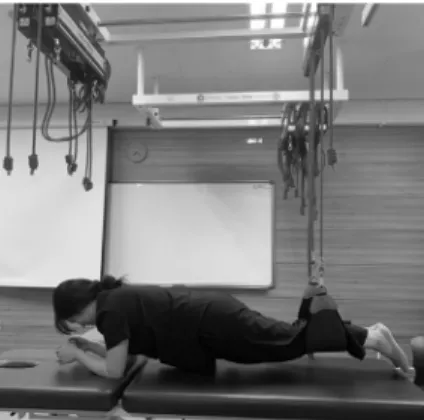 Figure 4. elbow plank
