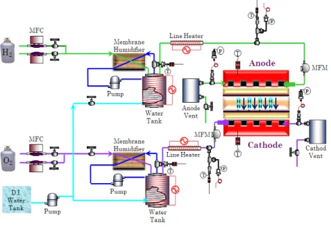Fig.  2    Schematic  diagram  of  experimental  setup시스템의  운영  방법에  따라  개방형(open  type)과 폐쇄형(dead-end  type)으로  나눌  수  있으며,  대부분의  연구가  개방형  운영을  대상으로  이루어지고  있다