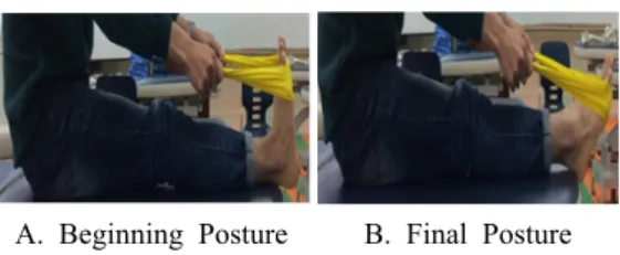 Table 2. Gastrocnemius Strength