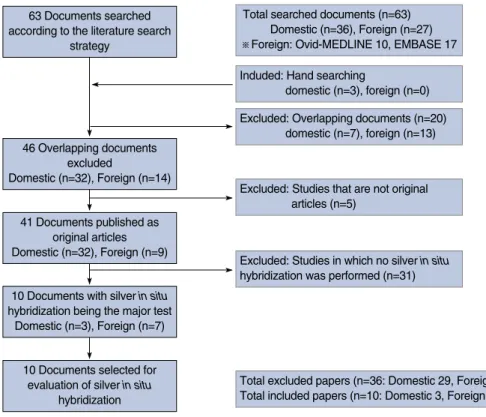 Figure 1. Documents selected for evaluation of silver in situ hybridization according to the literature search strategy.