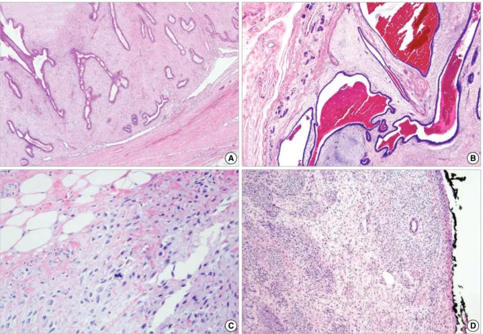 Table 2. Summary of immunohistochemical staining protocols