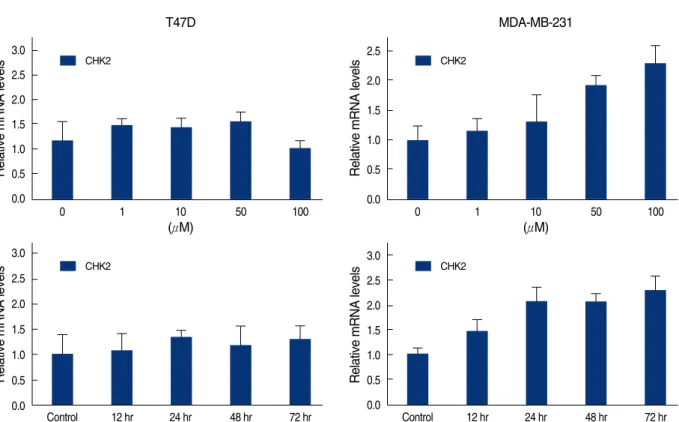 Figure 8. Real time quantitative analysis for CHK2 mRNA of genistein-treated T47D and MDA-MB231 cells