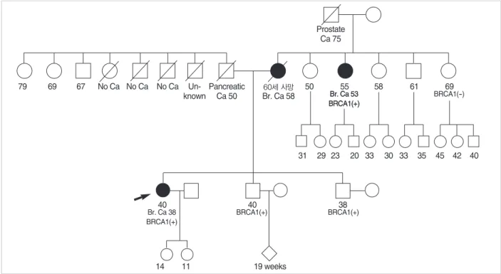 Fig 1. Pedigree. It shows a typical pattern of autosomal dominant inheritance. Patient’s mother and maternal aunt had breast cancer.