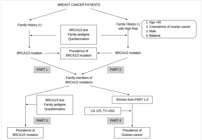 Fig 1. Flow chart of KOHBRA study.