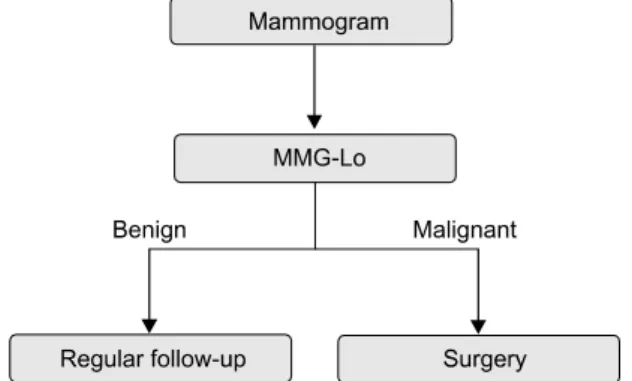 Fig.  2.  Management  of  nonpalpable  breast  lesions  shown  on   trasnogram.  *USG-Lo  =   ul-trasonogram-guided needle  localization  biopsy;  USG-Bx 