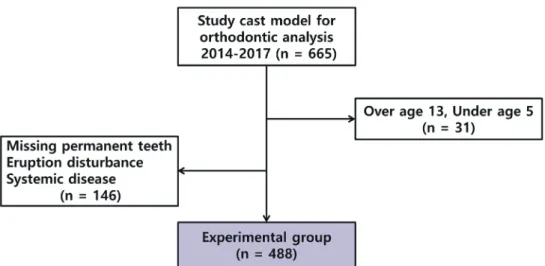 Fig. 1. Flowchart of experimental group selection.