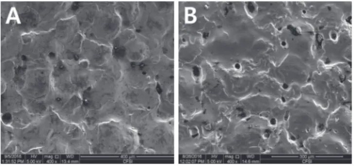 Fig. 1. Scanning electron microscope images (400). (A) In- In-ner side surface of NuSmile ®  ZR crown, (B) Surface of  zirco-nia disc.